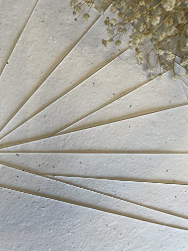 25 x A5 Plantable Seed Paper/Card - Print at Home Craft Paper with Wildflower Seed Mix