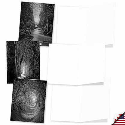 The Best Card Company - 10 Blank Note Cards with Envelopes (4 x 5.12 Inch) - Black & White Photos, Bulk Boxed Set - Pathways AM6280OCB-B1x10 - style: Pathways