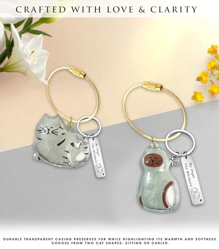 Pet Paw Print KeepSake Dog Memorial Suncatcher – Pet Fur Keepsake for Dog Hair, pet Hair Memorial keepsake - color: Miarita- Kien -Cat Hair Keychain Brown