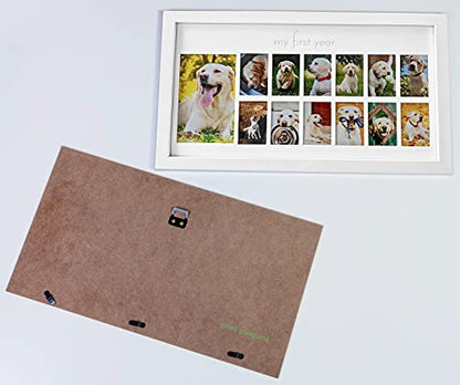 Green Pollywog My First Year Dog Picture Frame, 12-Month | 12-month puppy photo frame, 19x10 in white pinewood, thirteen photo slots, museum-grade UV glass - size: Dog First Year Frame - White