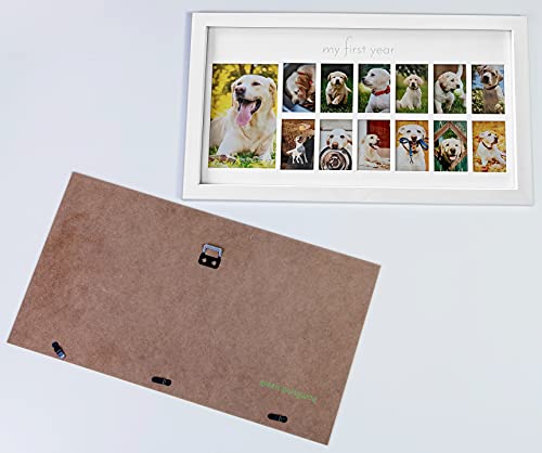 Green Pollywog My First Year Dog Picture Frame, 12-Month - size: Dog First Year Frame - White