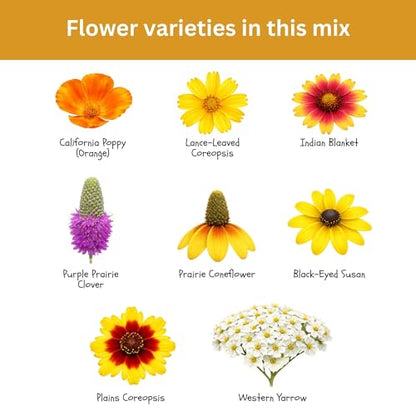 Drought Tolerant Wildflower Mix, 1 oz, 20,000+ Seeds | Extra Large Resealable Packet, Non-GMO Flower Seeds for Dry Climates