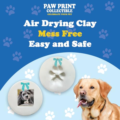 SD Toyz Pet Paw Print Ornament Kit, Dog & Cat Keepsake Picture Frame, Clay Mold Pawprint, Pet Lover Gift