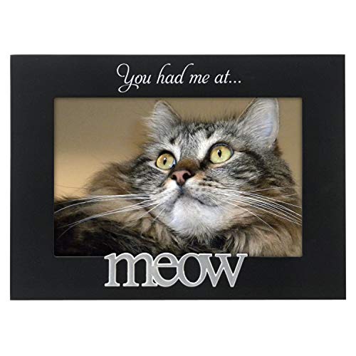 Malden International Designs 4964-46 Expressions You Had Me at Meow Black Wood Picture Frame, 4x6, Black - style: You Had Me at Meow