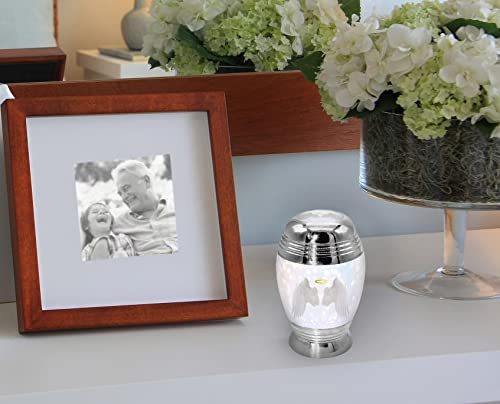 Guardian Angel Wings Keepsake Urns for Human Ashes with Velvet Gift Box for Cremation Keepsakes for Ashes - Small Cremation Urn and Small Keepsake Urn Set of 4 - color: Guardian Angel