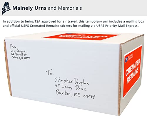 CarrySafe TSA-Approved Travel Urn Kit – Guaranteed Fly-Safe Temporary Cremation Urn for Human Ashes – Personalized, Airline Friendly, 200 Cu in, Green Plastic with Travel Box - color: Green