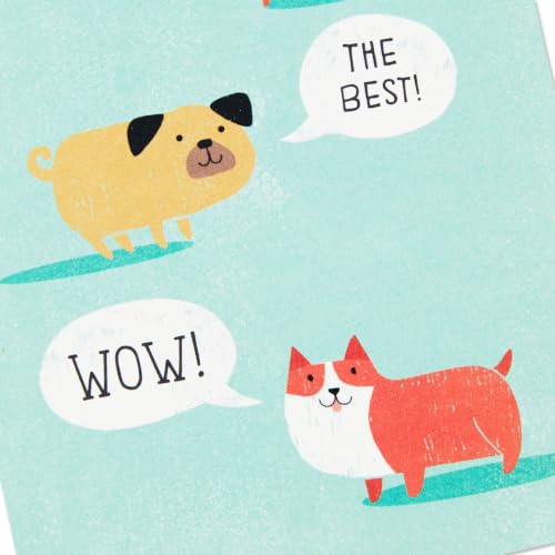 Hallmark Bulk Thank You Cards with Envelopes, Assorted 48-Pack (Cute Dogs) - color: Cute Dogs