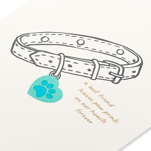 Papyrus Blank Pet Sympathy Card (Paw Prints on Our Hearts) - color: Paw Prints on Our Hearts