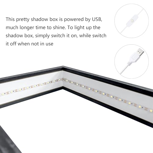 Shadow Box Frame with Lights 10'' ×8 '' Memory Boxes Keepsakes Display Case Dried Flower 3D Deep Picture Frame Memorial Gifts Memorabilia Medal Wedding Travel Baby Items (Black) - color: Black