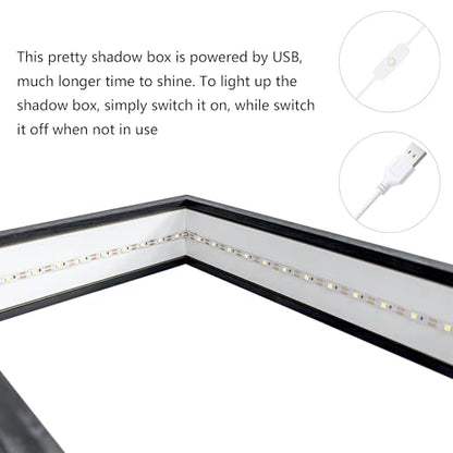 Shadow Box Frame with Lights 10'' ×8 '' Memory Boxes Keepsakes Display Case Dried Flower 3D Deep Picture Frame Memorial Gifts Memorabilia Medal Wedding Travel Baby Items (Black) - color: Black