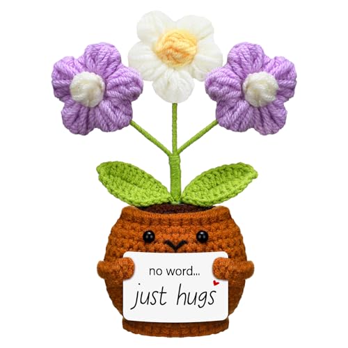 Janinka Sympathy Gift Loss of Loved One,White and Purple Daisy,Just Hug - color: White and Purple Daisy, style: Just Hug