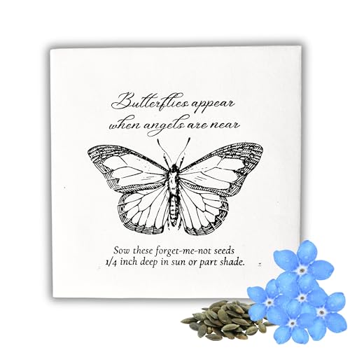 Butterfly Memorial Seed Packets – pack of 50 'When Butterflies Appear, Angels Are Near' – Heartfelt Remembrance Gifts for Loved Ones