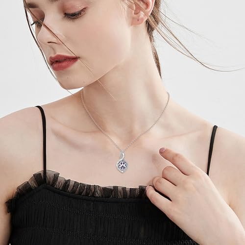 Butterfly/Dragonfly/Pet Paw/Tree of Life/Maple Leaf/Cross Urn Necklace for Ashes 925 Sterling Silver Cremation Pendant Jewelry Gifts for Women Mom - color: Paw-February