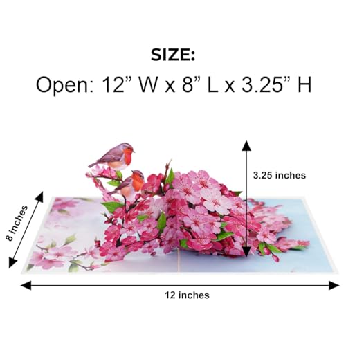 iGifts And Cards Cherry Blossom 3D Pop-Up Card – In Full Bloom 6"x8" | Robins, Pink Flowers, Nature-Inspired Greeting, Mother, Friend, Daughter, Spring Keepsake, Thinking of You Memento, Notecard - color: Cherry Blossom Robins