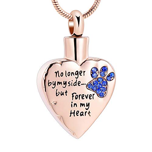 memorial jewelry No Longer by My Side,But Forever in My Heart Carved Locket Cremation Urn Necklace for Pet Dog Cats - color: RoseGold-Blue