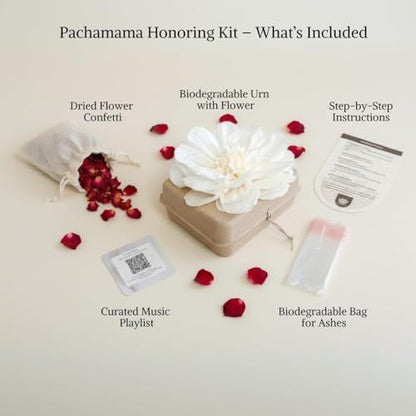Biodegradable Urn for Water and Ground Burial – Small (Infant) | Eco-Casting Material | Includes Ashes Bag, Dried Flower Confetti & QR Certificate – Beige - size: Small - Infant