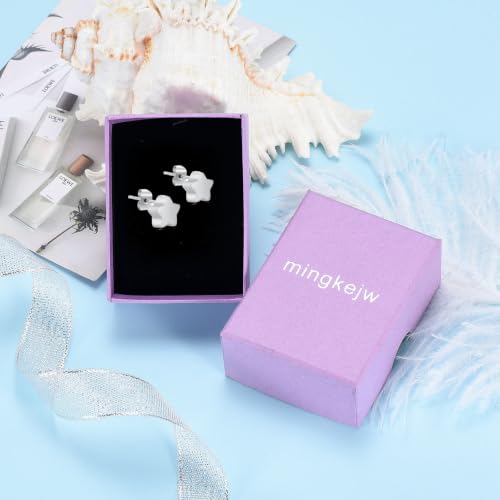 Small Star Urn Earrings for Ashes Cremation Earrings for Women Stainless Steel Cremation Jewelry Memorial Earring Keepsake Jewelry of Loved Ones with Fill Tool - color: Silver