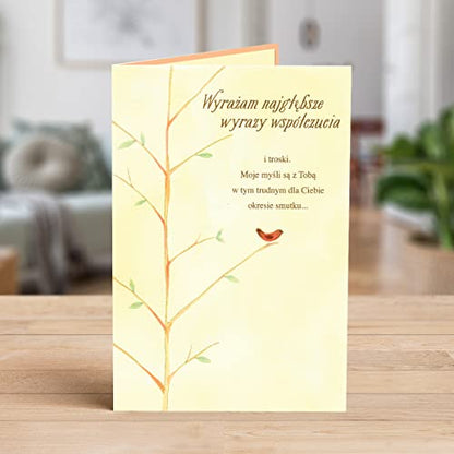 Designer Greetings Polish Language Sympathy Card 6 Pack | Polish Language Sentiment, Boxed Card Set, Matching Envelopes - style: 6 PK Polish Sympathy - Red Jay