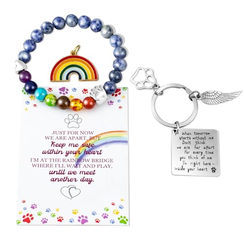 Pet Memorial Gifts, Pet Sympathy Gift, Rainbow Bridge 7 Chakra Beaded Bracelet, 8MM Mixed Color Beads for Dog Cat Owners, Pet Loss Keepsake for Women & Men