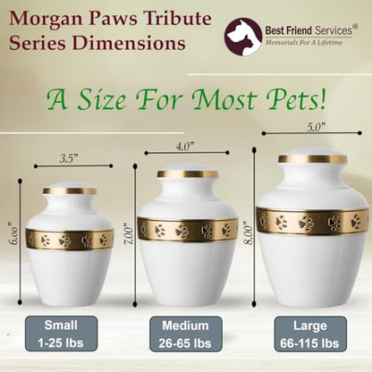 Morgan Legacy Cloud White/Brass Pet Urn, up to 25lbs - color: Cloud White, Brass Band, size: Small