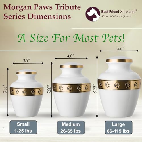 Morgan Legacy Cloud White/Brass Pet Urn, up to 65lbs - color: Cloud White, Brass Band, size: Medium