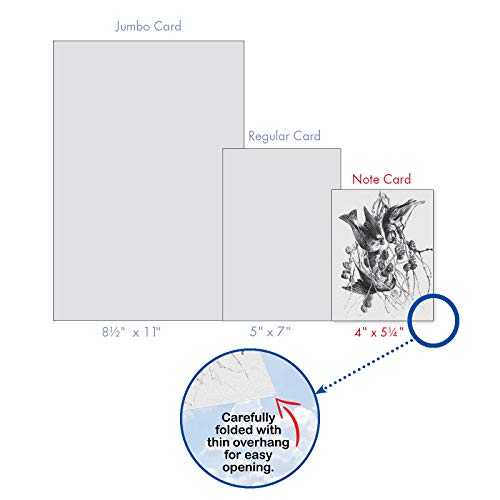 The Best Card Company - 10 Bird Note Cards Blank (4 x 5.12 Inch) - All Occasion Cards with Envelopes, Boxed Set - Wing Notes M6475OCB - style: Wing Notes