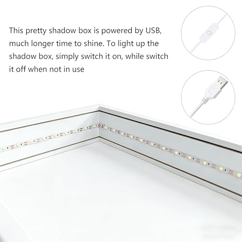 Shadow Box Frame with Lights 10'' ×8 '' Memory Boxes Keepsakes Display Case Dried Flower 3D Deep Picture Frame Memorial Gifts Memorabilia Medal Wedding Travel Baby Items (White) - color: White