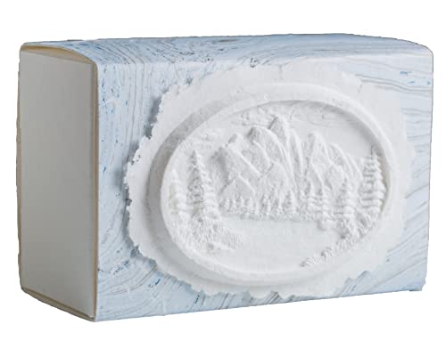 The Favorite Place® Burial Biodegradable Urn Box for Human Ashes by EARTH MEMORIALS Water Burial Urn (Mountains on Blue/Metallic Silver Paper, Large, 300 Cubic Inches 10”L x 6.5”W x 4 3/4”H) - color: Mountains on Blue/Metallic Silver Paper, size: Large, 3