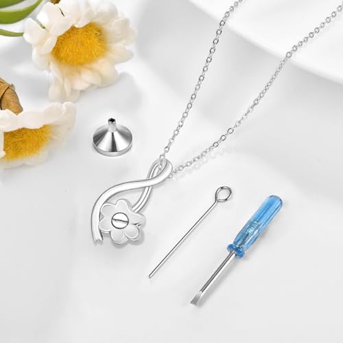 Dreamboat Urn Necklace for Dog Cat Ashes 925 Sterling Silver Pet Cremation Memorial Pendant Paw Print Ash Keepsake Jewelry for Women - color: Silver