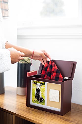 Pearhead Pet Photo Memory Box and Impression Kit for Dog or Cat Paw Print - color: Espresso Clay Pawprint Urn