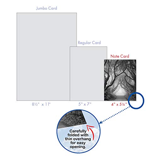 The Best Card Company - 10 Blank Note Cards with Envelopes (4 x 5.12 Inch) - Black & White Photos, Bulk Boxed Set - Pathways AM6280OCB-B1x10 - style: Pathways