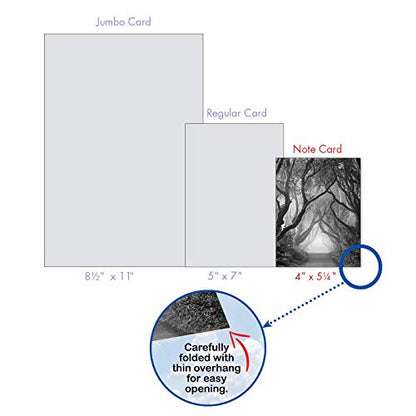The Best Card Company - 10 Blank Note Cards with Envelopes (4 x 5.12 Inch) - Black & White Photos, Bulk Boxed Set - Pathways AM6280OCB-B1x10 - style: Pathways