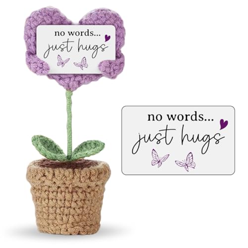 Sympathy Gifts for Loss of Loved One - Handmade Crochet Mini Heart Hugging, No Words, Just Hugs... Memorial Gifts, Bereavement Gift Idea for Loss of Mom, Dad, or Loved One