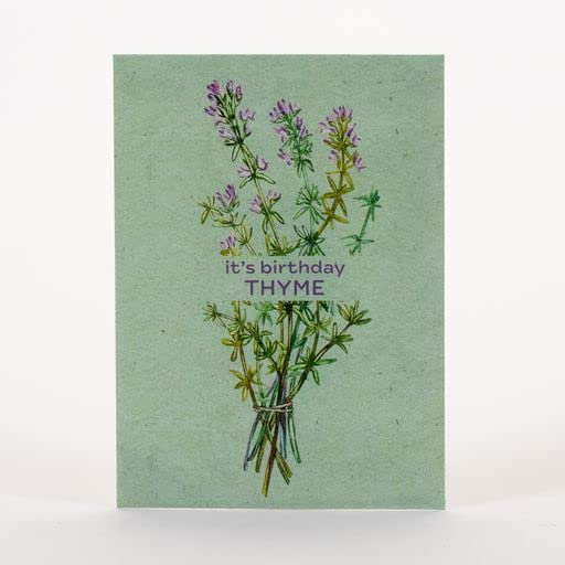 It's Birthday Thyme - Thyme Seed Packets - 25 Packets - Herb Seeds - Garden Seed to Grow Live Plants - A Beautiful Valentines Gift - Bentley Seed Co. - style: Birthday Thyme