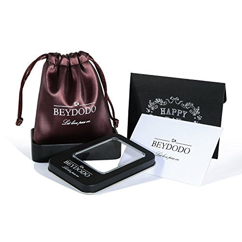 Beydodo Personalized Heart Cremation Urn Necklace for Ashes Always in My Heart Memory Necklace Gift with Funnel Kit - color: Style 2