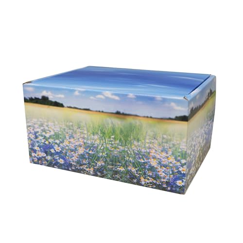 Meadow Themed TSA Approved Fly-Safe and Temporary Travel Cremation Urn Kit for Human Ashes - Airline and Mail Friendly - 200 Cubic Inch Capacity - Green Plastic Urn with Floral Mailing Box - color: Meadow
