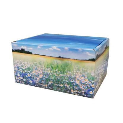 Meadow Themed TSA Approved Fly-Safe and Temporary Travel Cremation Urn Kit for Human Ashes - Airline and Mail Friendly - 200 Cubic Inch Capacity - Green Plastic Urn with Floral Mailing Box - color: Meadow