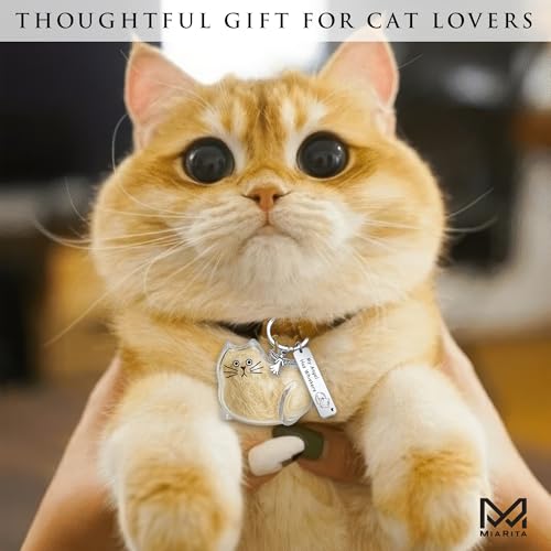 Pet Paw Print KeepSake Dog Memorial Suncatcher – Pet Fur Keepsake for Dog Hair, pet Hair Memorial keepsake - color: Miarita- Kien -Cat Hair Keychain