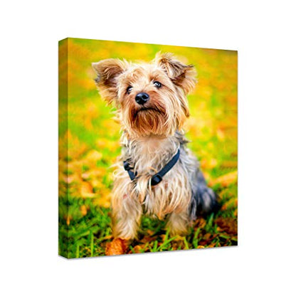 Personalized Photo to Canvas Print - Canvas Prints With Your Photos on Custom Wall Art for Bedroom, Living Room, Wedding Baby Pet Family Picture Framed Wall Art (8" W x 10" H) - size: 10"L x 8"W