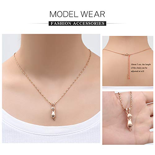 Imrsanl Pet Cremation Jewelry for Ashes Cat Urn Necklace - color: Rose Gold