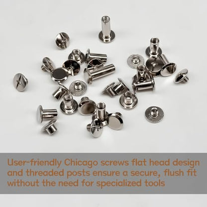 zDwfDc 115Sets Chicago Screws for Leather Rivets Kit M5*4, 5, 6, 8, 10, 12, 15 Silver Rivets for Leather Working Kit DD031-S - color: Silver