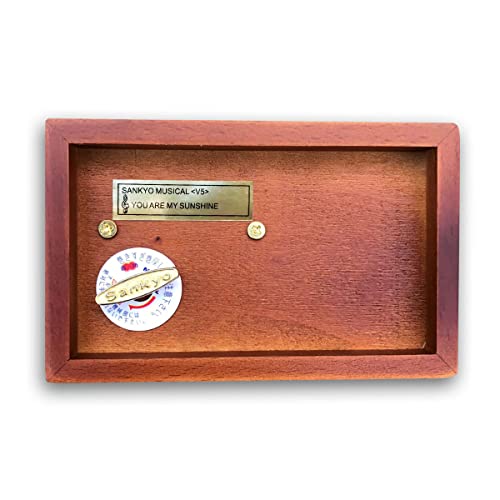 BinkeGG Wooden Hollow Out Wind up Music Box Jewelry Box with Sankyo Musical Mechanism Tune: You are My Sunshine - color: Hollow Out Jewelry Box, size: You Are My Sunshine