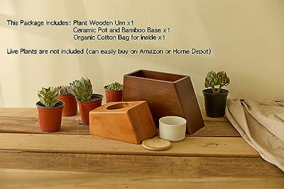 AspenStudio Plant Urn for Adult Human Ashes Cremation Wooden Urn by Aspen Studio