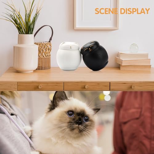 Ceramic Cat Urn for Ashes - Pet Memorial Box with Secure Lid - color: Black