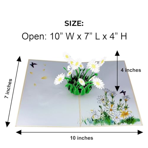 iGifts And Cards White Daisy Bouquet 3D Pop-Up Card in Full Bloom 4.75x6.75 | Spring Floral Keepsake, Mother's Day, Get Well, Sympathy, Birthday For Her, Garden Lover, Wife, Friend, Bouquet Design - color: White Daisies