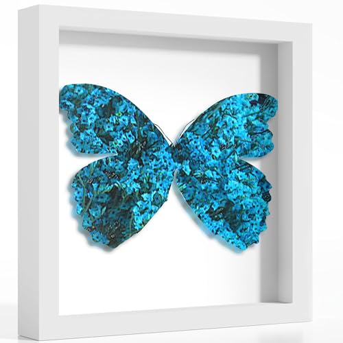 12x12 White Wooden Shadow Box Frame, 1.2" Deep, Tempered Glass | Black Backboard, Tabletop & Vertical/Horizontal Wall Display, Memorabilia Display, Wedding/Baby Keepsakes & Crafts - color: White, size: 12x12