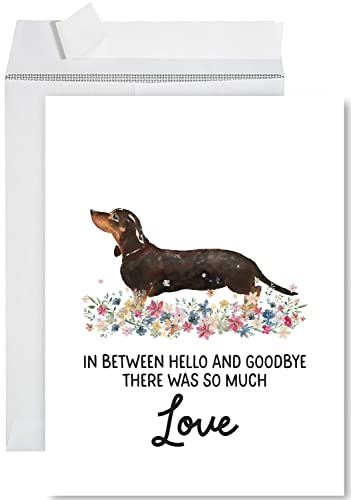 Andaz Press Jumbo Pet Sympathy Card with Envelope, Sorry For Your Loss Card, Dachshund, Loss Of Pets, Dog Grief Bereavement Card with Big Blank Space to Send to Friends, Family, 8.5" x 11", 1-Pack - color: Dachshund
