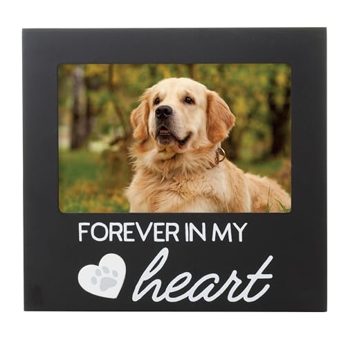 Pearhead Forever In My Heart Pet Memorial Photo Frame, Black | 4x6 Photo Insert, Heart & Paw Print Design, Keepsake for Dogs and Cats, Home Decor or Sympathy Gift for Pet Lovers - color: Black Forever In My Heart Frame