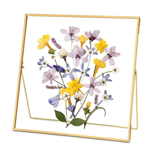 REDHUGO Double Glass Frame for Pressed Flowers, Square, Gold, 10x10 Inches - color: Gold, size: 10L" x 10W"