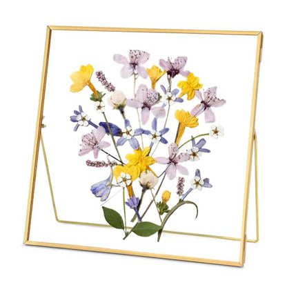 REDHUGO Double Glass Frame for Pressed Flowers, Square, Gold, 10x10 Inches - color: Gold, size: 10L" x 10W"